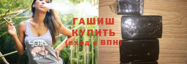 хмурый Арсеньев