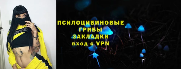 хмурый Арсеньев