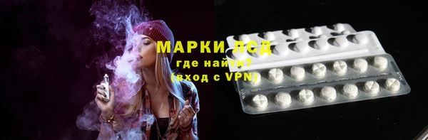хмурый Арсеньев