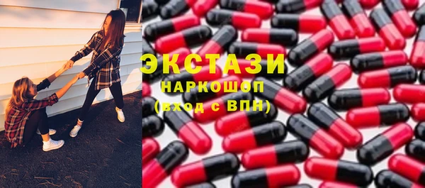 хмурый Арсеньев
