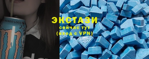 хмурый Арсеньев