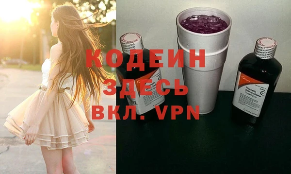 хмурый Арсеньев
