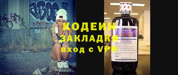 хмурый Арсеньев